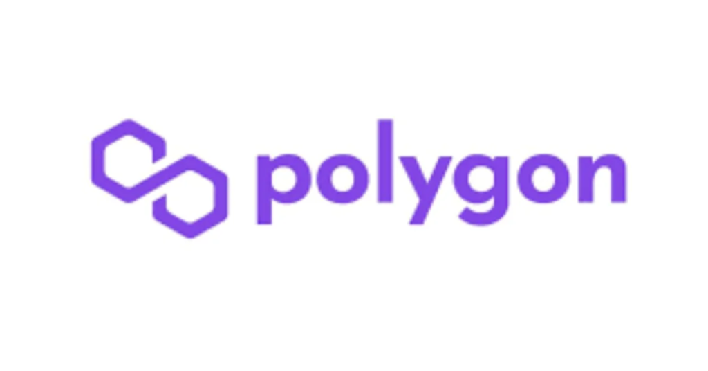 Polygon -Top 10 blockchain startups in India