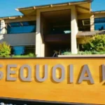 Sequoia Capital Downsizes Cryptocurrency Fund Amid Market Volatility
