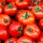 Tomato Prices Skyrocket to ₹160 per kg in Madhya Pradesh's Raisen, Impacts Consumers and Agricultural Sector