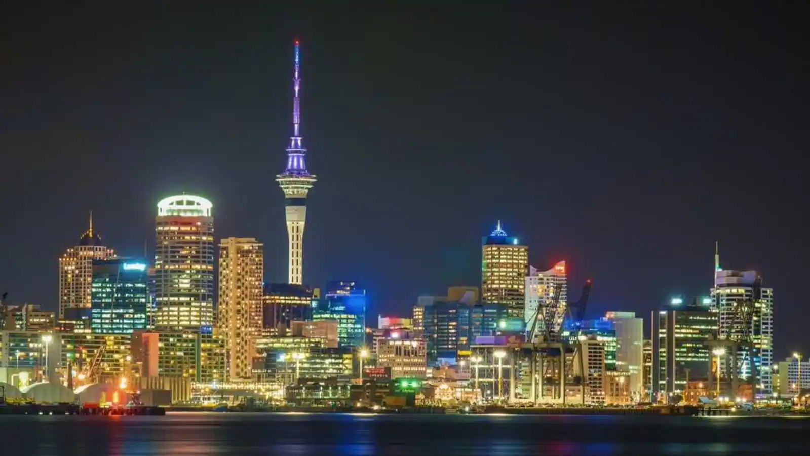 New Zealand's Tech Evolution The Thriving Landscape for Software Engineers
