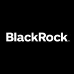 BlackRock CEO Larry Fink Calls Crypto a 'Flight to Safety' Asset Class
