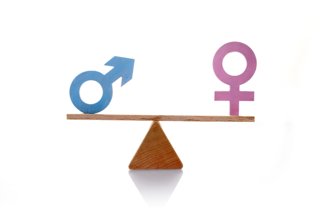 Bridging the Gender Gap Women's Progress in Start-ups Signals Hope for Equality