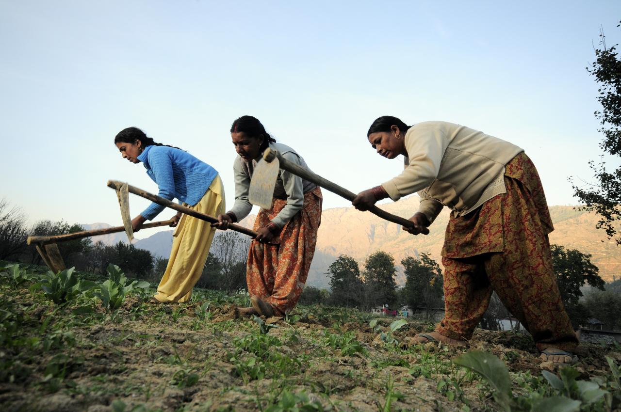 Four Inspirational Women Farmers Leading Agricultural Innovation in India