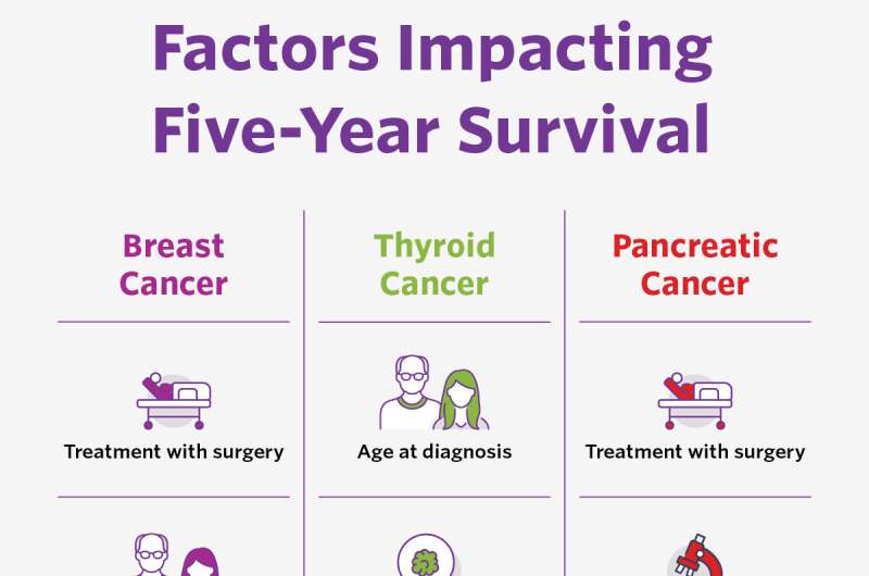 Machine Learning-Powered Cancer Survival Calculator Reveals Key Factors Beyond Cancer Stage