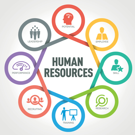 The Evolution of HR From Compliance to Strategy in the Pursuit of Employee Experience